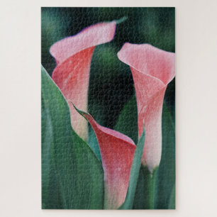 Calla Lilies Pink Flowers Jigsaw Puzzle