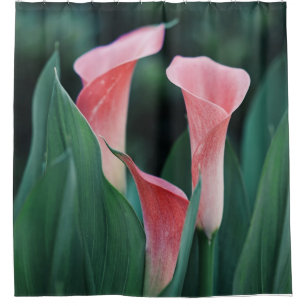 Calla Lilies Pink Flowers Shower Curtain