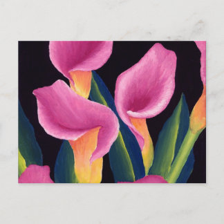 Calla lilies postcard