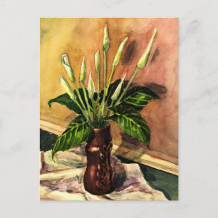 Calla lilies postcard