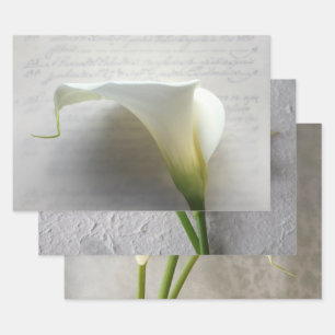 Calla lilies Wrapping Paper Set of 3