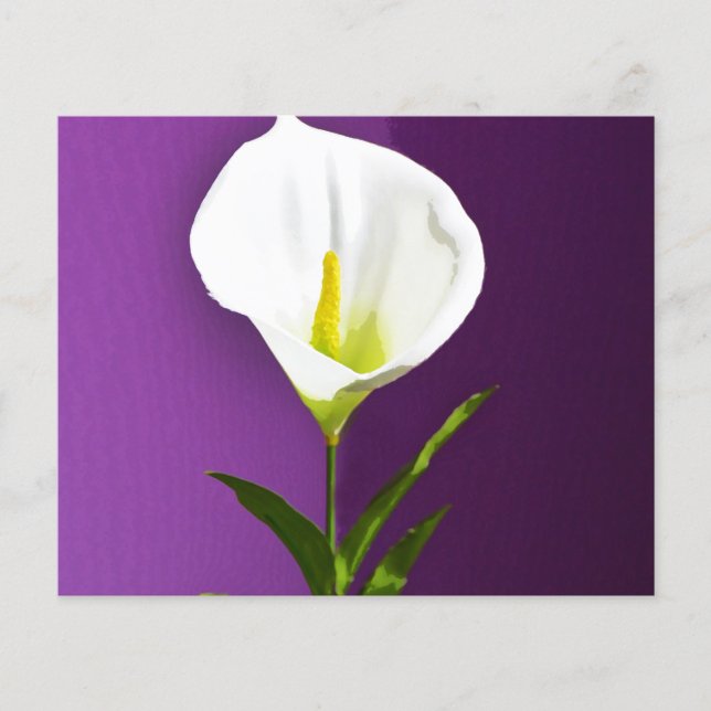 Calla Lilly Flyer (Front)