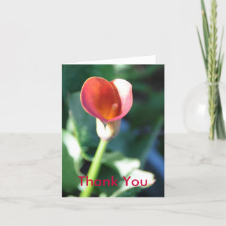 Calla Lilly, Thank You Card