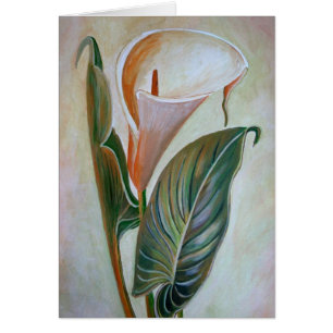 Calla Lily