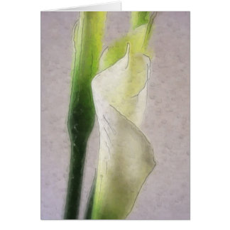 Calla Lily 1 Watercolor