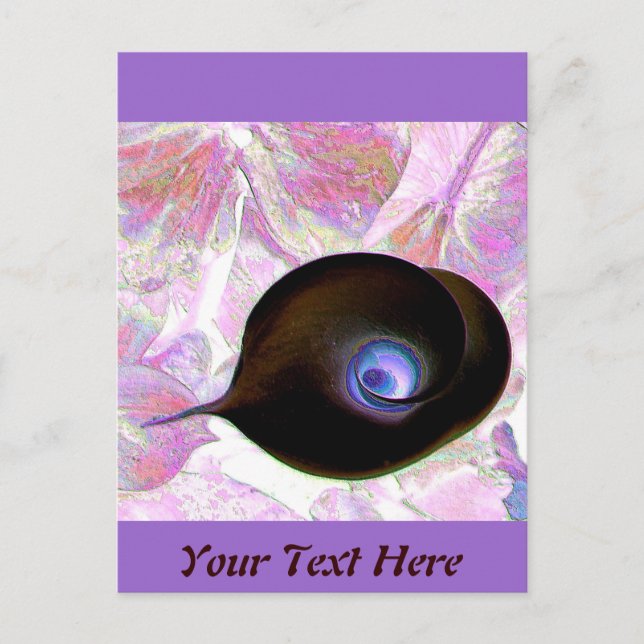 Calla Lily 2011 Postcard (Front)