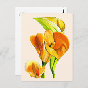 Calla lily blossom watercolor floral postcard