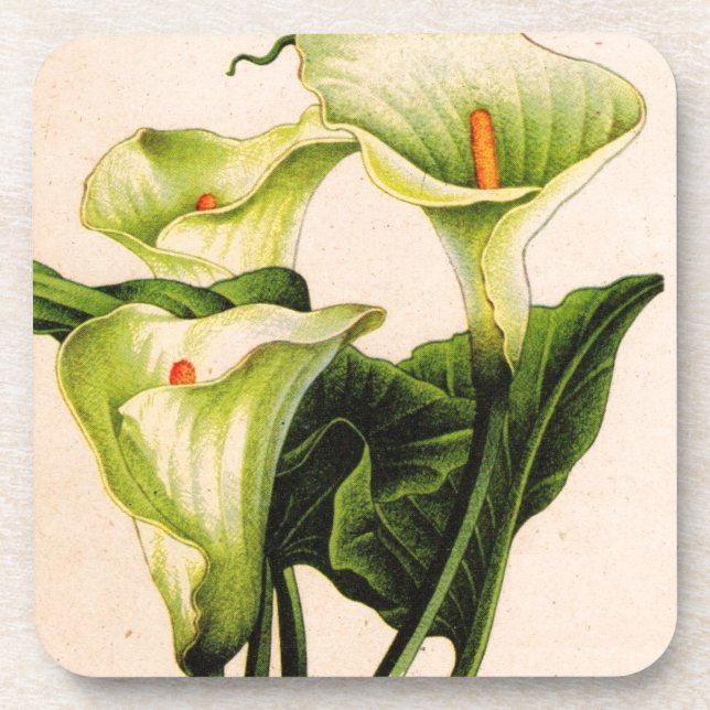 calla lily calla lilies coaster (Front)