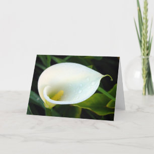 Calla Lily Card
