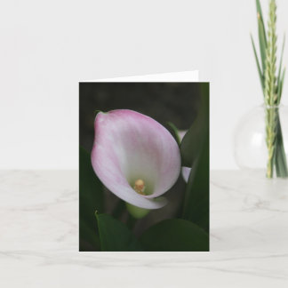 Calla Lily Card