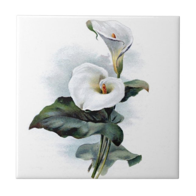 Calla Lily Design Ceramic Tile (Front)