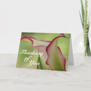 Calla Lily Greeting Card