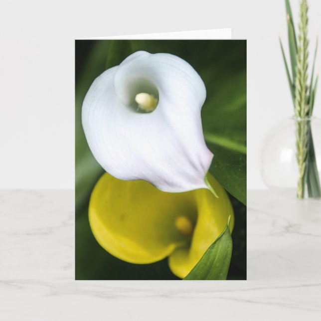 Calla Lily Greeting Card (Front)
