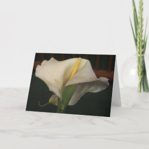 Calla Lily Greeting Card