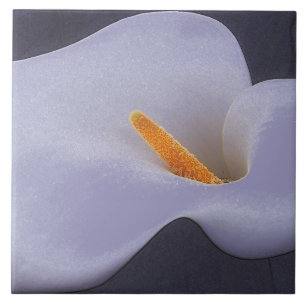Calla Lily Illustration Collectable Ceramic Tiles