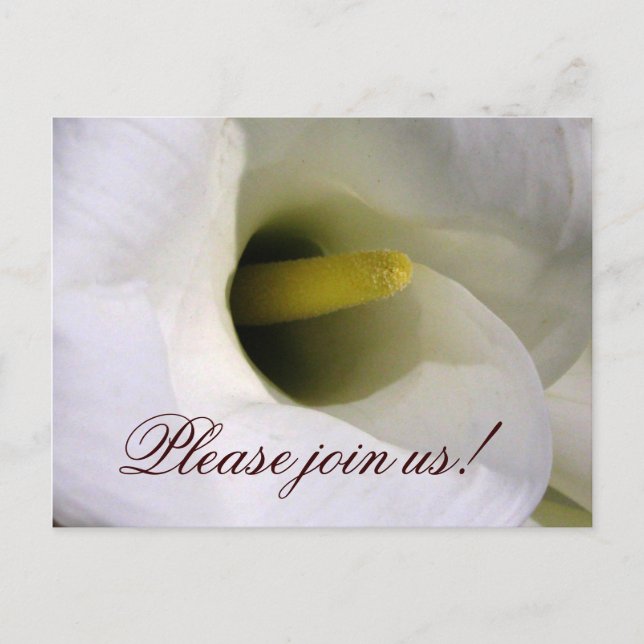 Calla lily invitation postcard (Front)