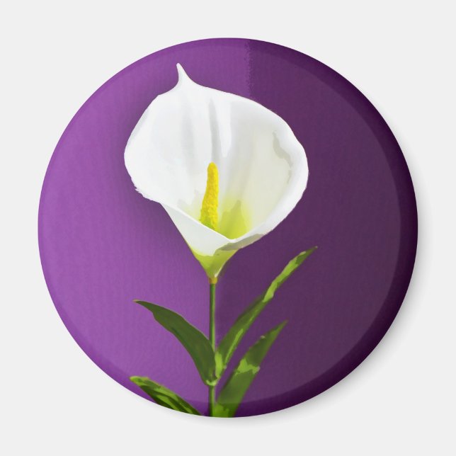 Calla Lily Magnet (Front)
