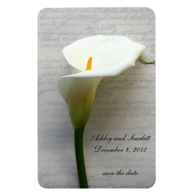 calla lily on handwriting flexible magnet (Vertical)