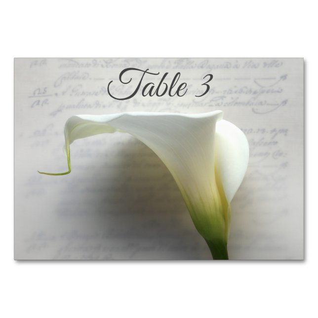 Calla lily on handwriting table number (Front)