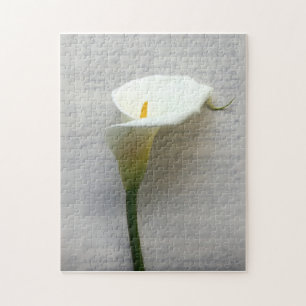 calla lily on old handwriting puzzle