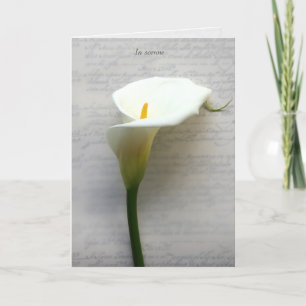 Calla lily on old handwriting sympathy holiday card