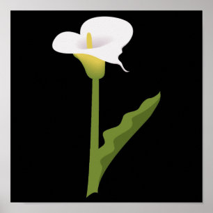 CALLA LILY POSTER