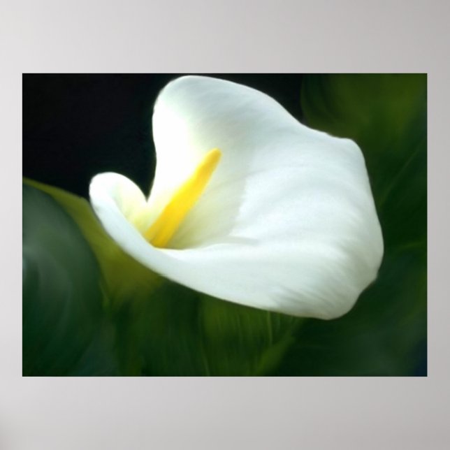 Calla Lily Print (Front)