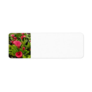 Calla Lily Return Address Label