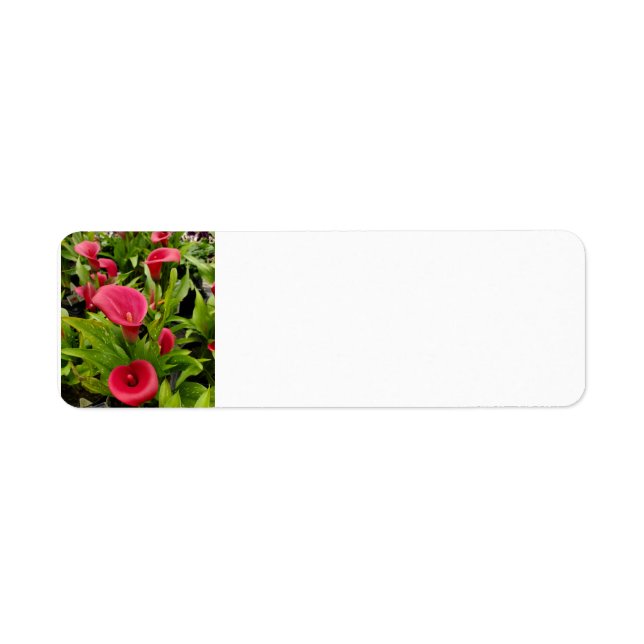 Calla Lily Return Address Label (Front)