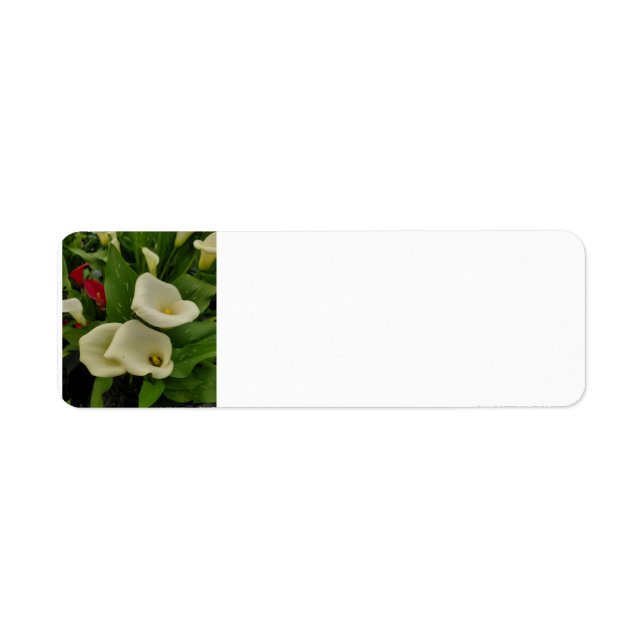 Calla lily return address label (Front)