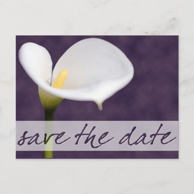 Calla Lily Save the Date Postcard (Front)