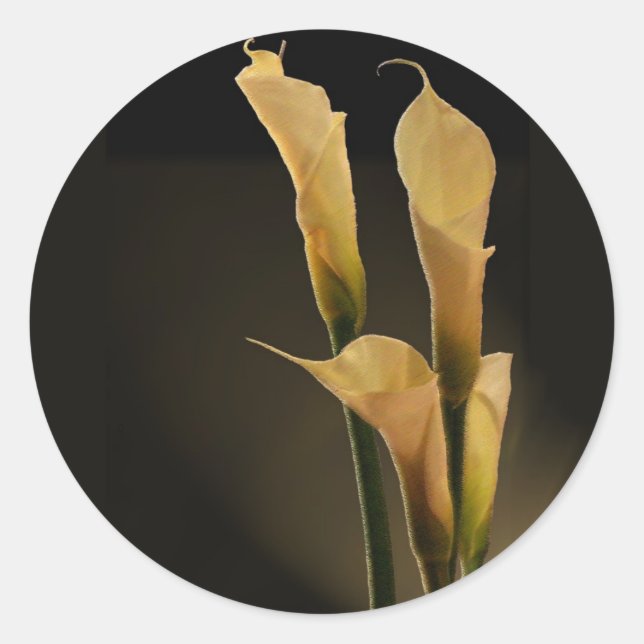 Calla Lily sticker (Front)