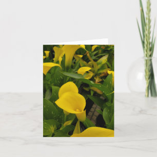 Calla lily thank you card