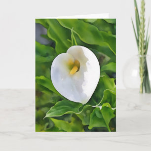 Calla Lily White Flower Art Note Card