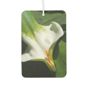 Calla Lily, Zantedeschia Car Air Freshener
