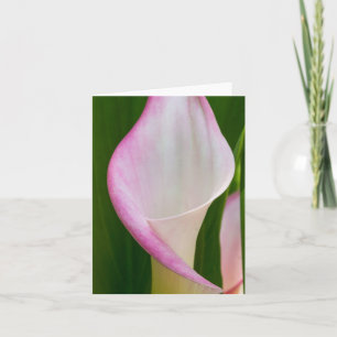 Calla Pano Card