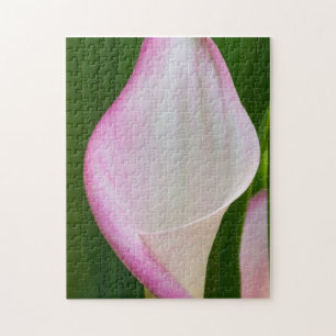Calla Pano Jigsaw Puzzle