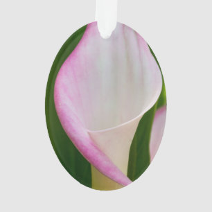 Calla Pano Ornament