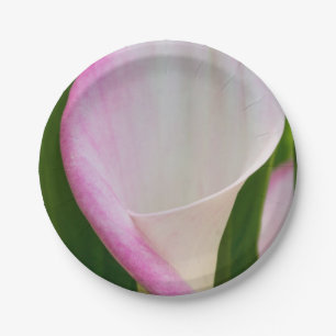 Calla Pano Paper Plate