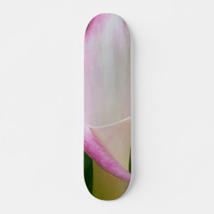 Calla Pano Skateboard