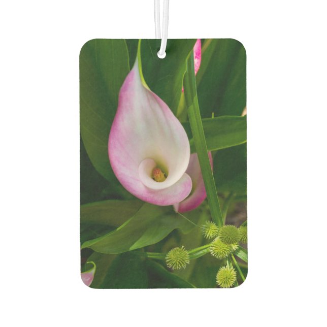 Calla Roll Car Air Freshener (Back)