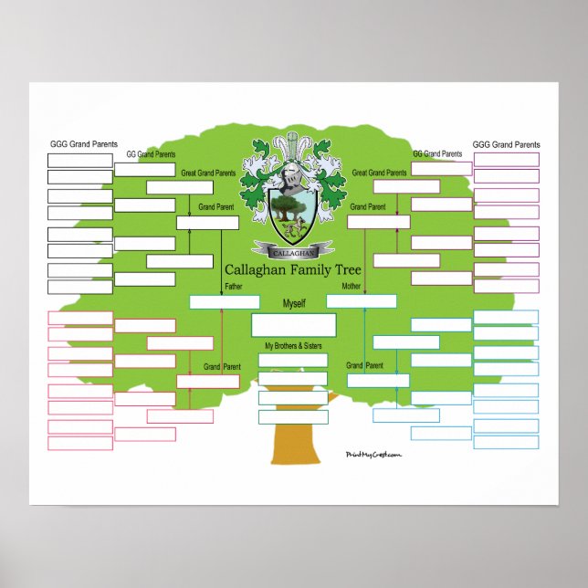 Callaghan Family Tree Poster (Front)