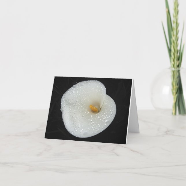 CallaLily after an evening shower NoteCard (Front)