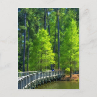 Callaway Landscape Postcard