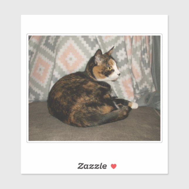 Callie Cat on Sofa (Sheet)