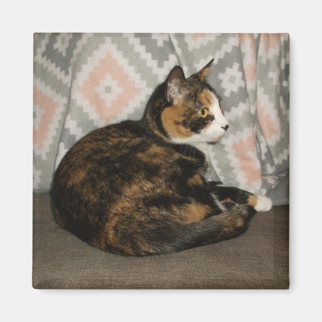 Callie Cat on Sofa Magnet (Front)