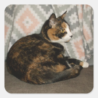 Callie Cat on Sofa Square Sticker