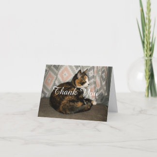 Callie Cat on Sofa Thank You Card