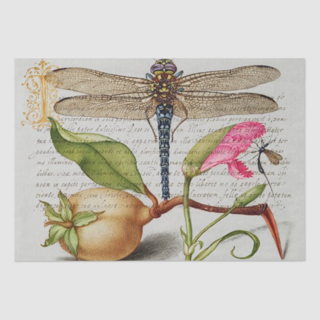 Calligraphy (Dragonfly, Carnation & Pear)  Tissue Paper (Front)