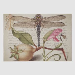 Calligraphy (Dragonfly, Carnation & Pear)  Tissue  Paper